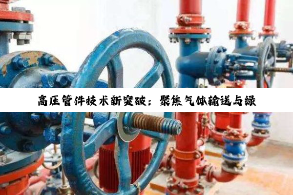 高压管件技术新突破：聚焦气体输送与绿色能源应用的最新热点