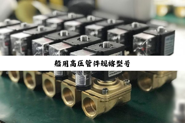 船用高压管件规格型号